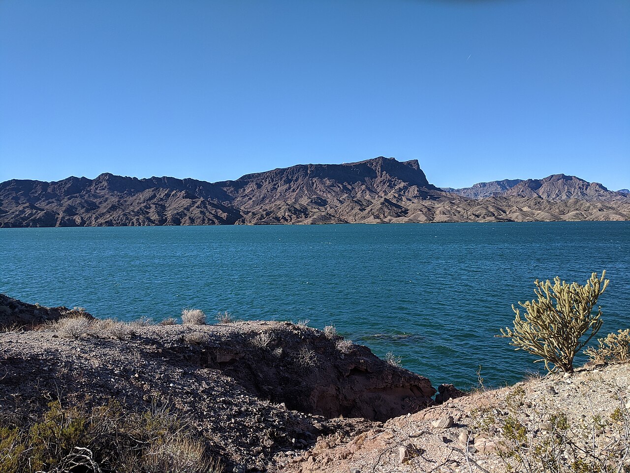Shoreline at Cattail Cove State Park on Lake Havasu